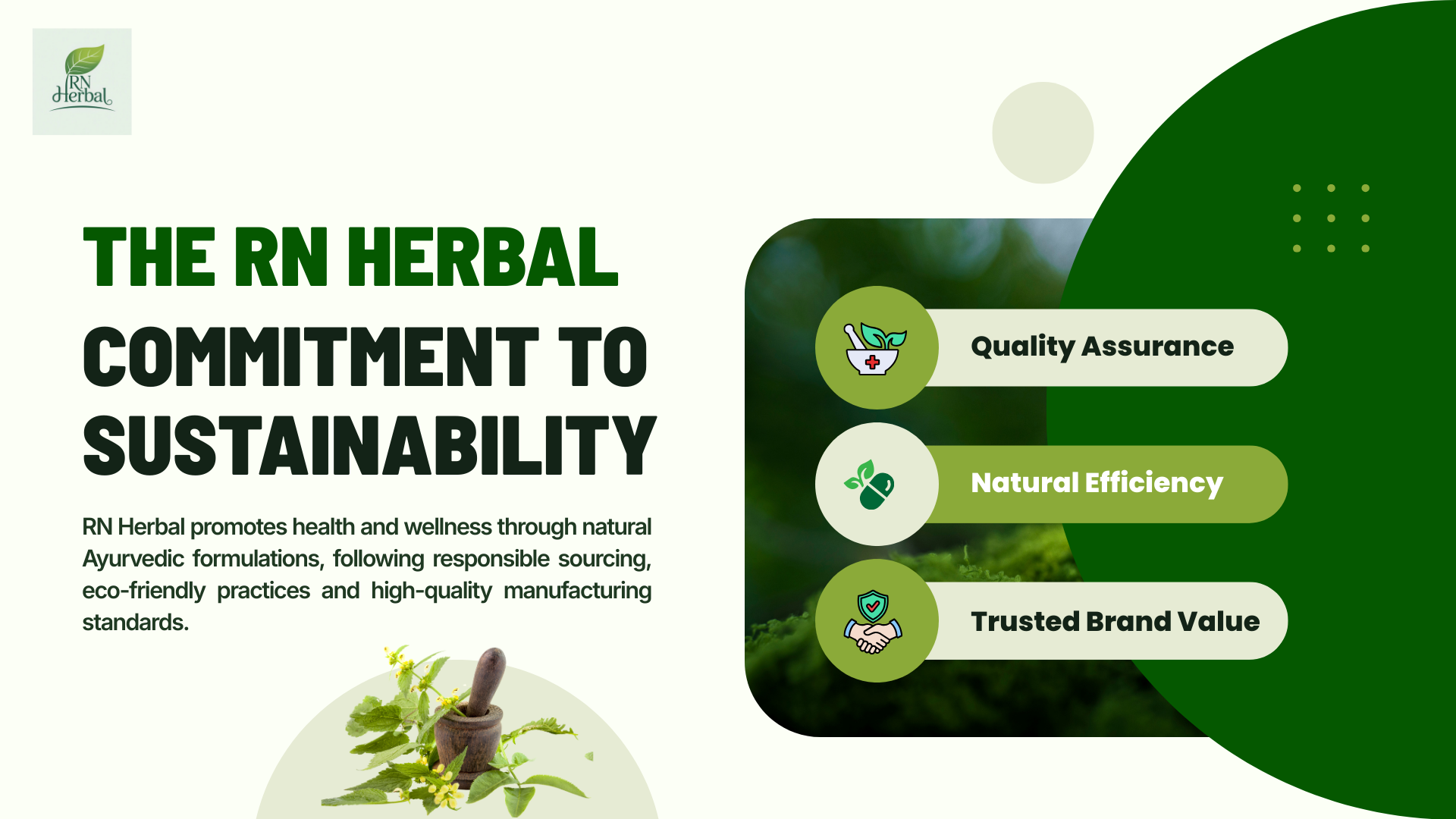 Sustainable Herbal Solutions for Healthier Tomorrow (1)